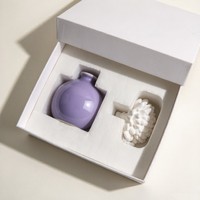 Diffuseur d'huiles essentielles artisanal en céramique de porcelaine, bouteille de 100 ml, parfum d'ambiance, désodorisant d'intérieur
