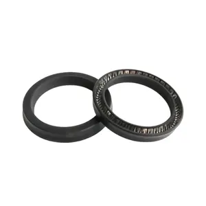 ZHIDE Factory Direct Double Lip Spring energized PTFE NBR Oil Seal kit di guarnizioni ad alta temperatura