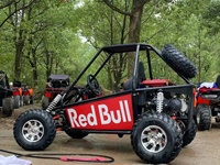 2022 Easy-go Date siège unique pas cher haute vitesse adultes hors route dune buggy/buggy