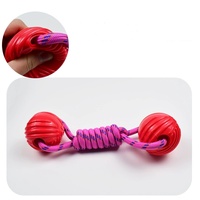 Jouet à Mâcher pour Animaux de Compagnie : Balle Élastique TPR, Jouets pour Chiens en Corde de Nylon, Résistance à la Morsure, Entraînement, Jeu de Traction, Jouets à Mâcher Interactifs