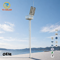 Lampadaire solaire haute puissance TX pour autoroute avec cage de sécurité et échelle intégrée