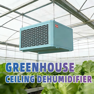 Performance Greenhouse Planting Dehumidifier with Intelligent Control for Professional Vegetable Fruit Flower Planting Use