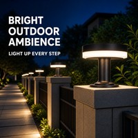 Borne solaire commerciale de qualité supérieure en aluminium moulé sous pression, LED écoénergétique pour entrée de villa et poteau de clôture
