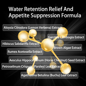 Pilules d'extrait de Garcinia Cambogia pur naturel Perseek OEM certifiées ISO 9001, adaptées aux adultes, pour une combustion saine des graisses - Product Image 5