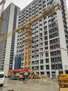 2019 Years Zoomlion Topless Tower Crane WA6013-8 Inner <b>Climbing</b> Tower Crane in Stock - Product Image 1