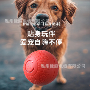 Pelota de juguete automática para gatos, éxito de ventas transfronterizo, un dispositivo divertido y entretenido para gatos, una pelota que rebota, una pelota rodante, y - Product Image 4