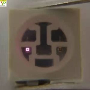 5050 tri-màu sắc 660nm 850nm 465nm <span class=keywords><strong>415nm</strong></span> Red Blue hồng ngoại <span class=keywords><strong>LED</strong></span> điốt cho vẻ đẹp y tế ánh sáng vật lý trị liệu vẻ đẹp cụ - Product Image 6