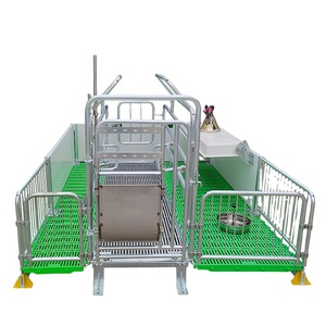 Thiết bị chăn nuôi lợn mạ kẽm nhúng nóng bán chạy nhất: chuồng nuôi heo nái, chuồng heo nái mang thai - Product Image 3