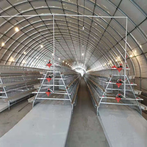 <span class=keywords><strong>Jaula</strong></span> automática para recolección <span class=keywords><strong>de</strong></span> <span class=keywords><strong>huevos</strong></span>, <span class=keywords><strong>jaula</strong></span> para <span class=keywords><strong>gallinas</strong></span>, gran oferta, 2021 - Product Image 4