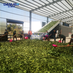 Low Cost High Efficiency Herbal Dryer Continuous Dehydrator Leaf Grass Mesh Belt Hemp Drying Machine - Product Image 3