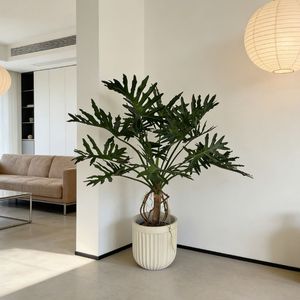 <span class=keywords><strong>ต้น</strong></span>ไม้ปลอมฟิโลเดนดรอนพรีเมียมในกระถางปูนซีเมนต์ ตกแต่งบ้าน สำนักงาน โรงแรม สไตล์โมเดิร์น เหมือนจริง - Product Image 4