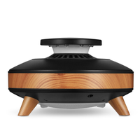 Dernier piège à mouches électrique commercial Piège à moustiques électronique Lampe en bois Machine à piège à insectes USB