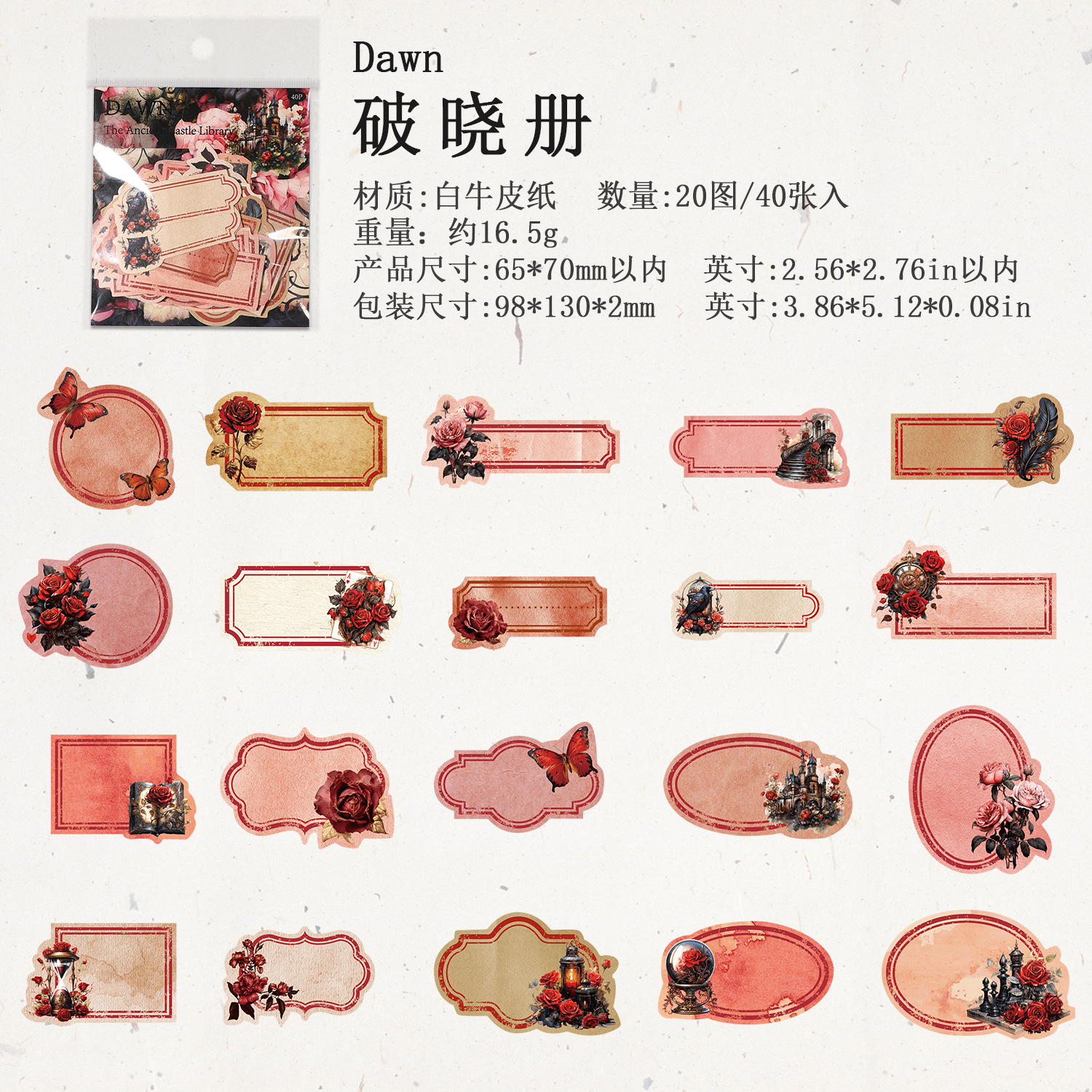 LIBRO B DAWN