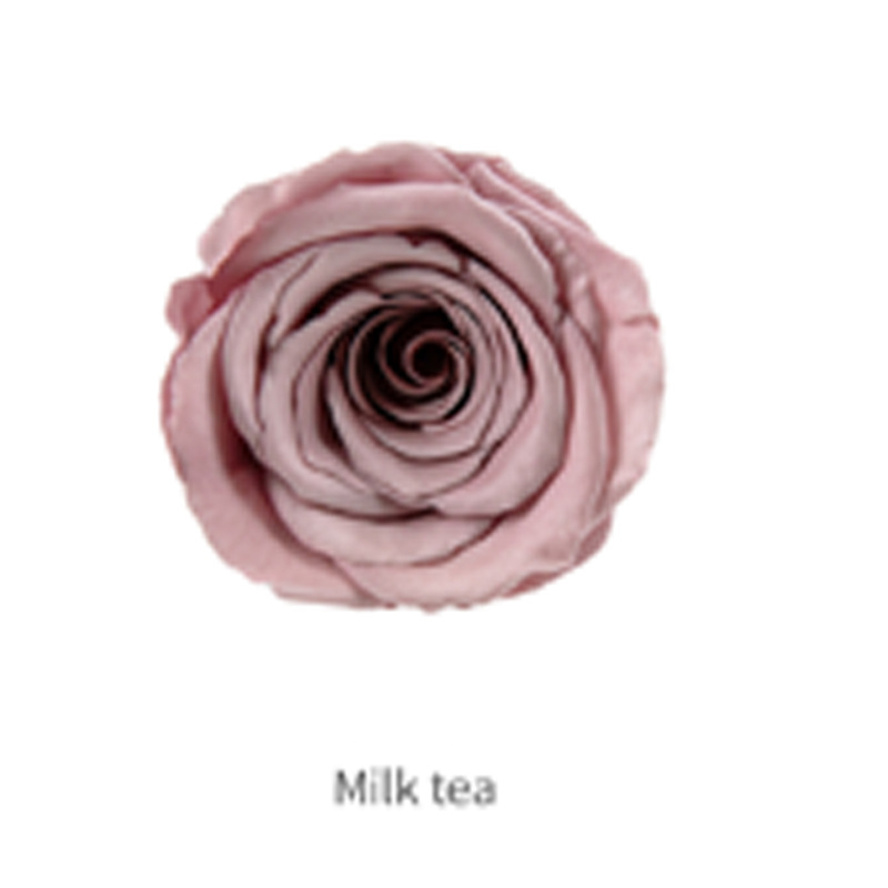 ชานมสีเกรด B 8ดอก