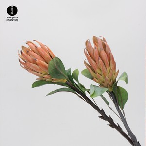 Branche unique roi Protea fleur artificielle longévité fleur décorative pour salon <span class=keywords><strong>mariage</strong></span> paysage fait afrique du sud - Product Image 5