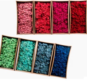 <span class=keywords><strong>Fleurs</strong></span> séchées de qualité supérieure, 5 pièces, <span class=keywords><strong>mousse</strong></span> lim importée - Product Image 1