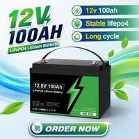 Baterai LiFePO4 HYL 12.8V 100Ah dengan BMS 100A Terintegrasi, 10000 Siklus, Umur Panjang, untuk Sistem Tenaga Surya RV, Motor Trolling, dan Kelautan