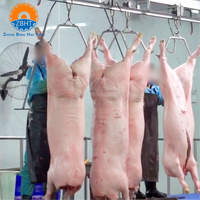 Projet clé en main d'abattoir pour l'abattage de porcs, machines de transformation de la viande, ligne d'abattage de porcs de haute qualité, certifiée CE