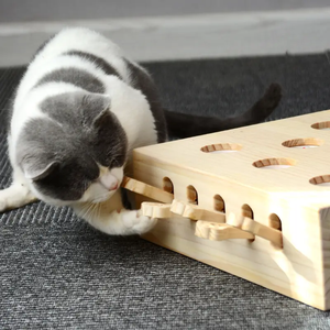Gran oferta OEM ODM alta calidad interactivo nuevo gato juguete rompecabezas de madera inteligente <span class=keywords><strong>Catnip</strong></span> Catching hámster gato juguete - Product Image 6