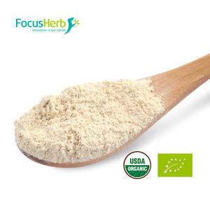 Poudre de champignon Maitake biologique NOP & EU FocusHerb 10:1 Poudre de Maitake biologique - Product Image 2