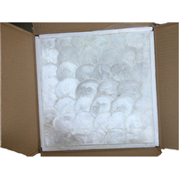 Dalle de mosaïque en coquille de Capiz naturelle de style moderne DTH STONE pour la décoration intérieure, les meubles DIY, les murs et le parquet – Qualité supérieure