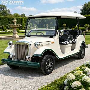Popular Auto Eléctrico Vintage para Turismo, Auto Clásico Retro para Turistas, Cero Emisiones, para Transporte en Bodas, Eventos, Resorts y Parques - Product Image 1