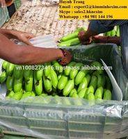Banane Cavendish verte biologique variété de plantain frais WhatsApp + 84 981 144 196