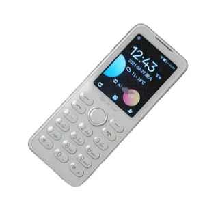 4G feature phone Qin F21S over 8000 Pakistan rupees