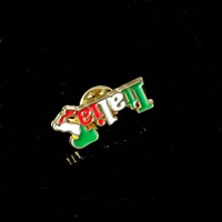 Broche de dentiste grande taille avec carte de l'Italie souvenir, logo personnalisé 2026, fabriquée en Italie