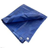 Bâche PE 120-130g/m² 100% Imperméable de Haute Qualité pour Camion et Cargaison, Très Demandée en Afrique
