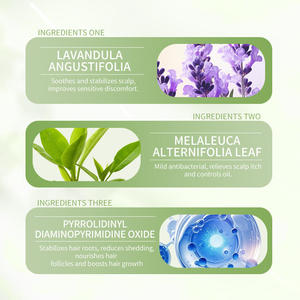 Shampoo nourrissant au gingembre pour la croissance des cheveux et anti-chute, avec soin du cuir chevelu, extraits d'herbes, nettoyage doux et utilisation quotidienne - Product Image 6