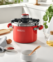 Autocuiseur en acier inoxydable émaillé à double couvercle-Ustensiles de cuisine 22cm compatibles avec l'induction Vente en gros