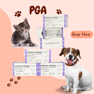 Suturas Quirúrgicas Veterinarias Recubiertas de PGA/PDO/seda/nailon/catgut/PGLA/<span class=keywords><strong>PDS</strong></span>, Suturas de Dioxanona - Product Image 2