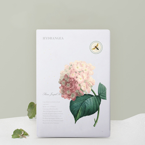 Bán buôn Macaron kẹo màu A5 kinh doanh kế hoạch máy tính xách tay với <span class=keywords><strong>PP</strong></span> da Bìa may ràng buộc làm việc chương trình nghị sự và ngân sách chất kết dính - Product Image 2