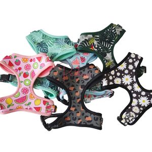 Aksesoris anak anjing <span class=keywords><strong>Dachshund</strong></span> <span class=keywords><strong>Harness</strong></span> anjing jenis panjang sosis disesuaikan tidak ada tarik <span class=keywords><strong>Harness</strong></span> anjing untuk <span class=keywords><strong>Dachshund</strong></span> - Product Image 3