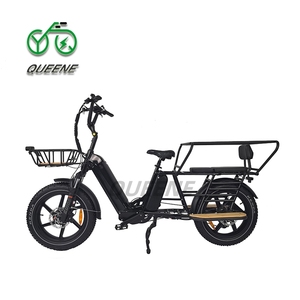 QUEENE Bicicleta Eléctrica Familiar con Llantas Anchas, 48V/52V, 2000W, Motores Duales, Baterías Dobles de 40AH - Product Image 4