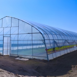 Agriculture Tomate Tunnel à travées multiples Serre Agricole Maison Verte Cadre Métallique Horticulture Serre Tropicale Prix - Product Image 3