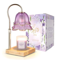 Diffuseur d'huiles essentielles électrique rétro pour la maison, chauffe-cire en bois massif style vintage, sans fumée, avec contrôle de température et lumière d'ambiance