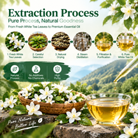 Huile essentielle de thé blanc 100% pure naturelle écologique Linalool Carvacrol Antibactérien Distillée à la vapeur Savons Bougies Soins de la peau