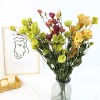 Fleurs et plantes séchées fleur de lisianthus couleur naturelle gentiane des prairies fleurs décoratives plantes