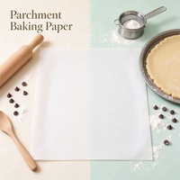 Vorgeschnittene Silikonbeschichtete Backpapierbögen Antihaft-Backpapier für Ofen und Dampfgaren