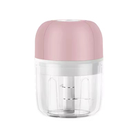 Mini Hachoir Électrique Sans Fil USB 250 ml, Broyeur Alimentaire Portable Automatique Pour Cuisine, Mélangeur Hachoir à Ail