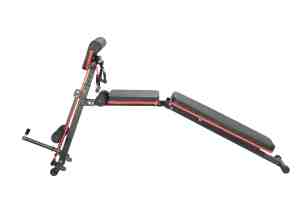 Banc d'haltères pliant multifonctionnel personnalisé <span class=keywords><strong>pour</strong></span> oiseaux, <span class=keywords><strong>pour</strong></span> exercices de Fitness, offre spéciale en Amérique - Product Image 5