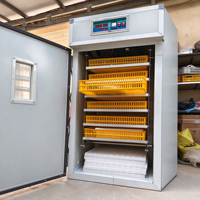 Incubateur Commercial Automatique pour 5000-50000 Œufs de Poule, Équipement d'Éclosion Avicole