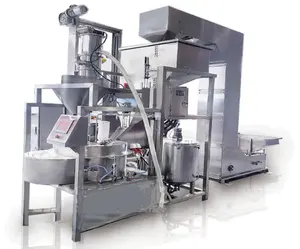 Automatic Peanut Coating Machine Crafted in China