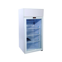 Mini-réfrigérateur verrouillable NE-80CLW-P, 80L, à fonctionnement silencieux, pour boissons, réfrigérateur de bureau