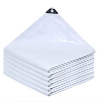 Bâche blanche enduite de PE pour usage extérieur imperméable et résistant au vent sur abri de jardin, remorque, bateau, voiture, camion, auvent et couverture pour animaux de compagnie