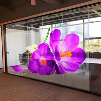 Personnalisé Dernière Haute Définition Fenêtre Publicité Holographique LED Écran Flexible Verre Adhésif Transparent Led Film Écran