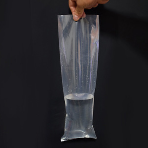 Anhui Heding Intelligent Technology PE Flat <b>Plastic</b> <b>Bags</b> Transparent Customizable Thickness One Time Use <b>Storage</b> Packaging <b>Bags</b> - Product Image 2