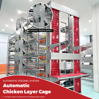 Équipement avicole automatique de type H, cages d'alimentation pour l'élevage de poulets, système d'élevage en batterie pour poules pondeuses de type H
